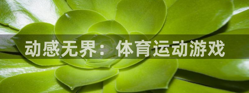 七星体育彩票中奖规则图：动感无界：体育运动游戏