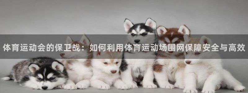 七星体育直播nba7live相关：体育运动会的保卫战：如何利用体育运动场围网保障安全与高效