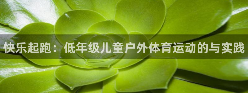 七星体育彩票：快乐起跑：低年级儿童户外体育运动的与实践