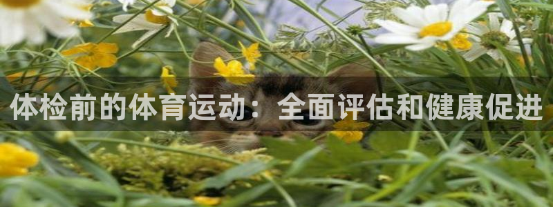 七星体育直播现场直播新浪：体检前的体育运动：全面评估和健康促进