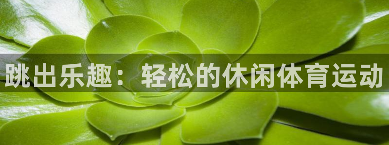 七星体育：跳出乐趣：轻松的休闲体育运动