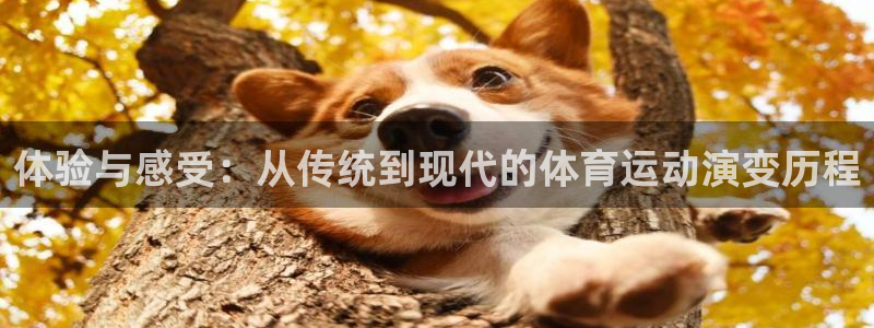 七星体育咩咩主播：体验与感受：从传统到现代的体育运动演变历程