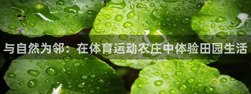七星体育NBA：与自然为邻：在体育运动农庄中体验田园生活
