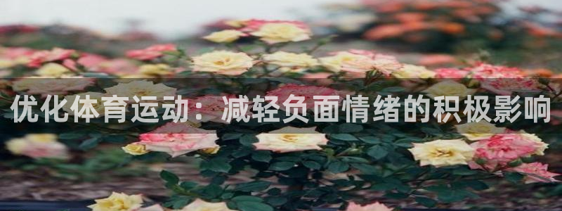 七星体育彩票中奖号码是多少：优化体育运动：减轻负面情绪的积极影响